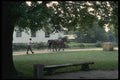 197063 Work Horses, Pioneer Days, Upper Canada Village A4 Photo Print