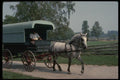 197066 Horse And Carriage A4 Photo Print