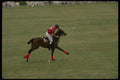 197069 Polo Player A4 Photo Print