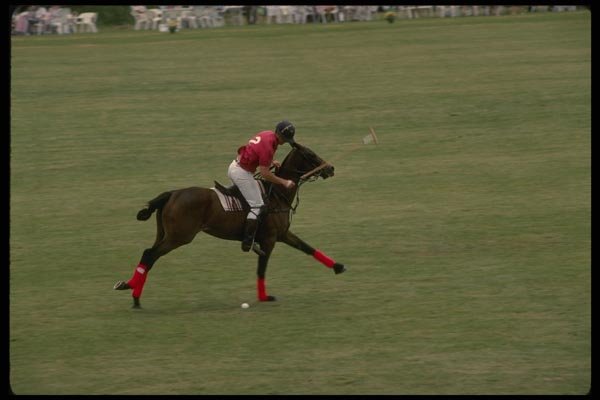 197069 Polo Player A4 Photo Print