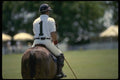 197070 Polo Player A4 Photo Print