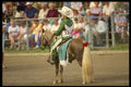 197076 Shetland Pony A4 Photo Print