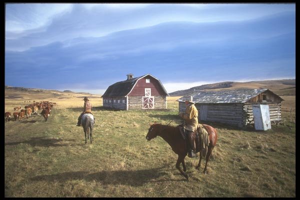 197090 Working Cowboys, Alberta A4 Photo Print