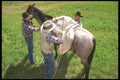 197091 Cowboys Loading Up A4 Photo Print