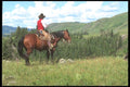 197093 Working Cowboys, Rocky Mountains A4 Photo Print