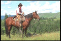 197094 Working Cowboys, Rocky Mountains A4 Photo Print