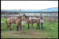 197096 Corral A4 Photo Print