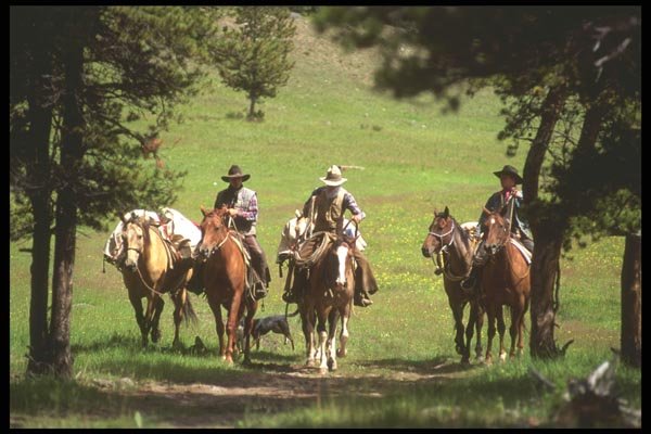 197097 Working Cowboys, British Columbia A4 Photo Print