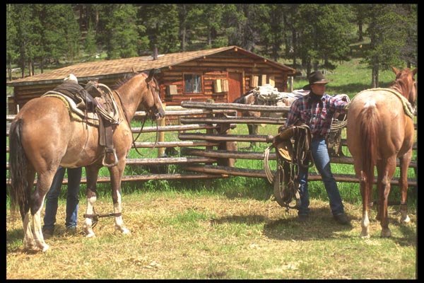 197098 Corral A4 Photo Print