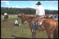 197099 Branding, British Columbia A4 Photo Print