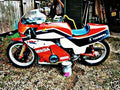 1972 Honda Cb750 F1 motorbike A4 Photo Print