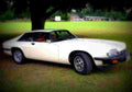 1975 Jaguar XJ S 5 3 Coupe A4 Photo Print