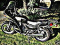 1977 cx500 motorbike A4 Photo Print