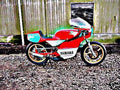 1978 tz350 motorbike A4 Photo Print