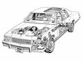1979 Chevrolet Caprice 1 cutaway A4 Photo Print