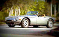 1979 tvr 3000s A4 Photo Print