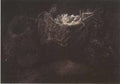 198 Still Life With Birds Nests Nuenen 1885 A4 Photo Print