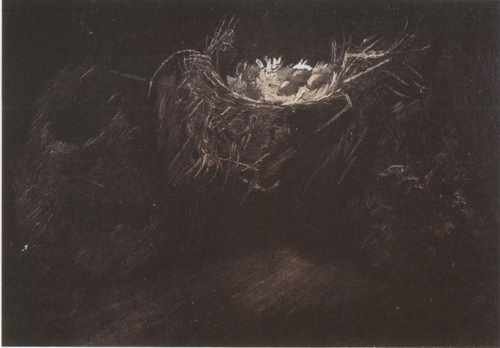 198 Still Life With Birds Nests Nuenen 1885 A4 Photo Print