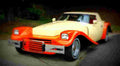 1980 Buehrig Carriage Roof Coupe A4 Photo Print
