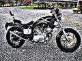 1981 xv1000 motorbike A4 Photo Print