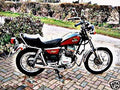 1982 cm125 motorbike A4 Photo Print