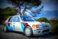 1984 Peugeot 205 Turbo 16 Evolution 1 Group B A4 Photo Print