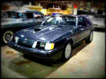 1984 ford mustang svo A4 Photo Print