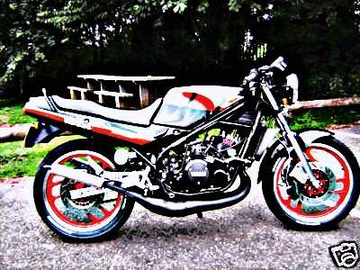 1985 350 lc motorbike A4 Photo Print