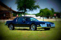 1987 Zimmer Quicksilver A4 Photo Print