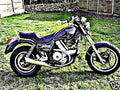 1987 ducati indiana motorbike A4 Photo Print