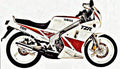 1987 tzr125 motorbike A4 Photo Print