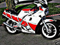 1988 fz600 motorbike A4 Photo Print