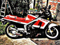 1988 rg500 motorbike A4 Photo Print