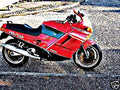 1989 ducati paso motorbike A4 Photo Print