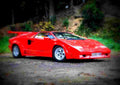 1990 Lamborghini Countach 25th Anniversary A4 Photo Print