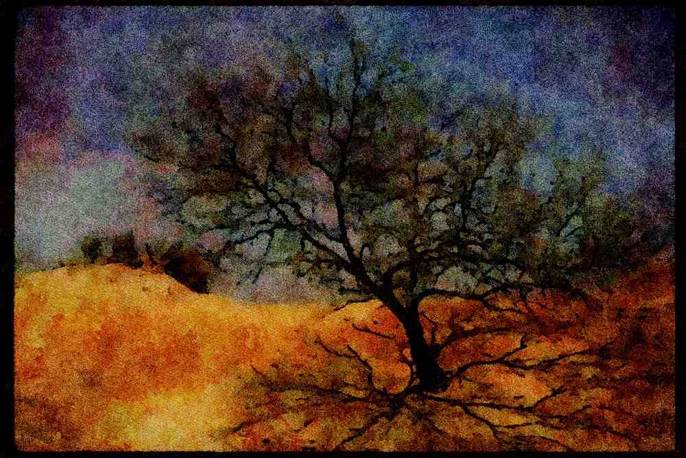 199003 Monahan's Sandhills State Park, Texas A4 Limited Edition Watercolour Print