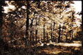 199009 Petite Riviere, St. Francois, Quebec A4 Limited Edition Watercolour Print