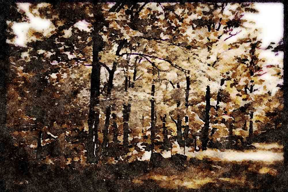 199009 Petite Riviere, St. Francois, Quebec A4 Limited Edition Watercolour Print