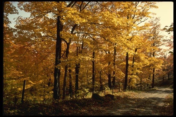 199009 Petite Riviere, St. Francois, Quebec A4 Photo Print