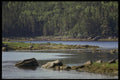 199010 Near Liscombe, Nova Scotia A4 Photo Print