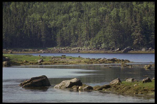199010 Near Liscombe, Nova Scotia A4 Photo Print