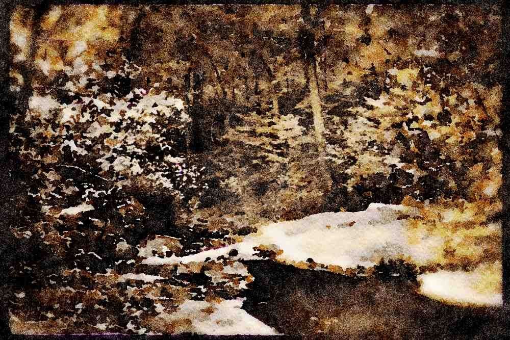 199012 Autumn Scene, Bear Run Stream, Pennsylvania A4 Limited Edition Watercolour Print