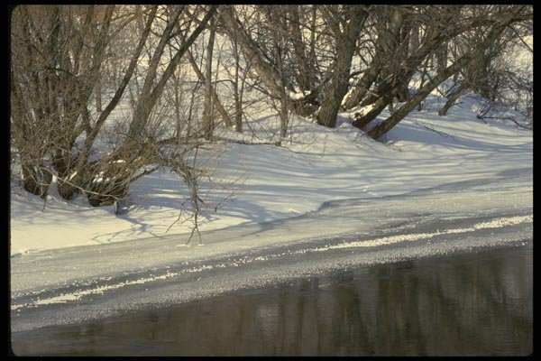 199013 River, Laurentian Mountains, Quebec A4 Photo Print