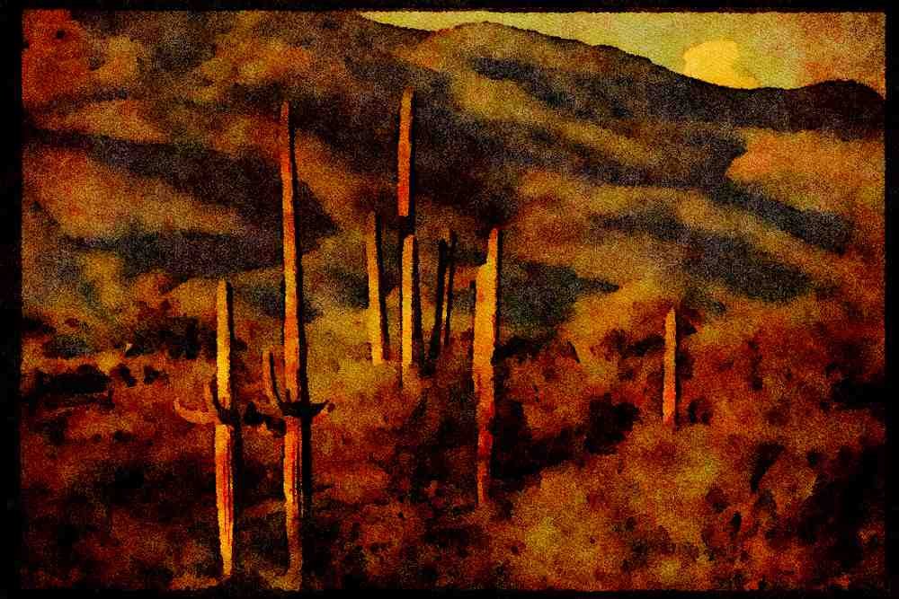 199016 Saguaro Cactus At Saguaro National Monument, Arizona A4 Limited Edition Watercolour Print