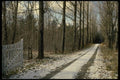 199018 Snow On Country Lane Near Magog, Quebec A4 Photo Print