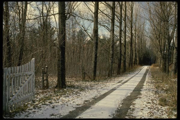 199018 Snow On Country Lane Near Magog, Quebec A4 Photo Print
