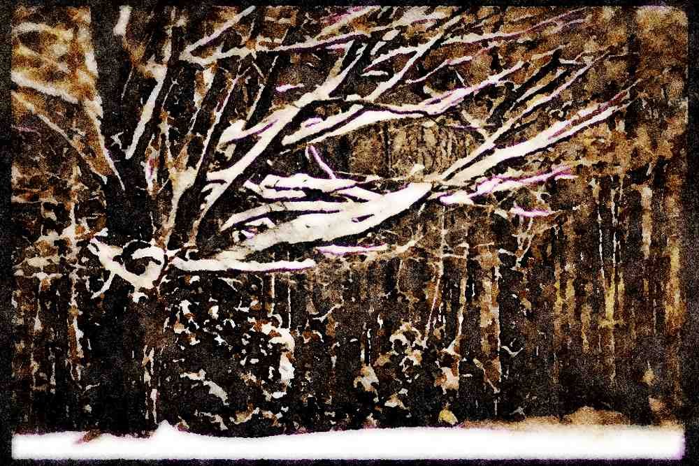 199019 Snow covered Tree A4 Limited Edition Watercolour Print