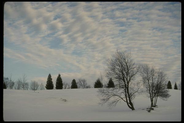 199024 Winter Scene, Eastern Townships Of Quebec A4 Photo Print