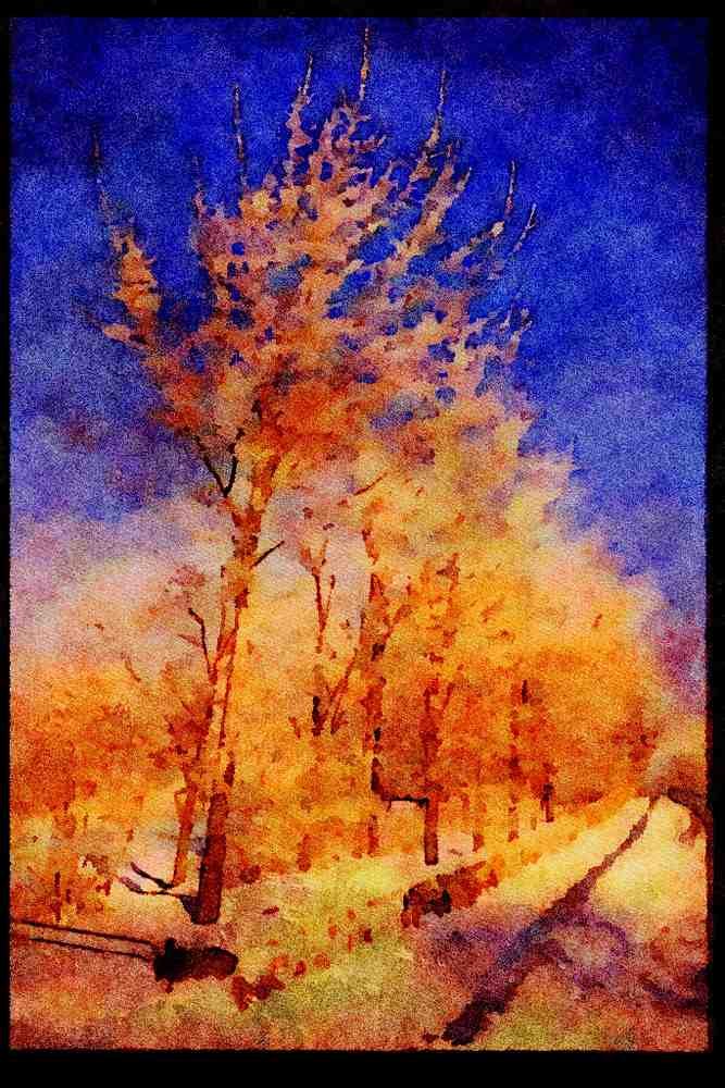 199025 Hoar Frost, Magog, Quebec A4 Limited Edition Watercolour Print