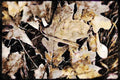 199033 Fallen Leaves Covered With Frost A4 Limited Edition Watercolour Print